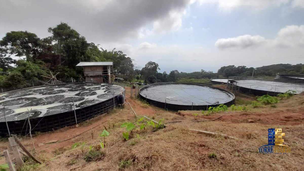 Finca en Venta en Armero, Tolima – Cód. 1083