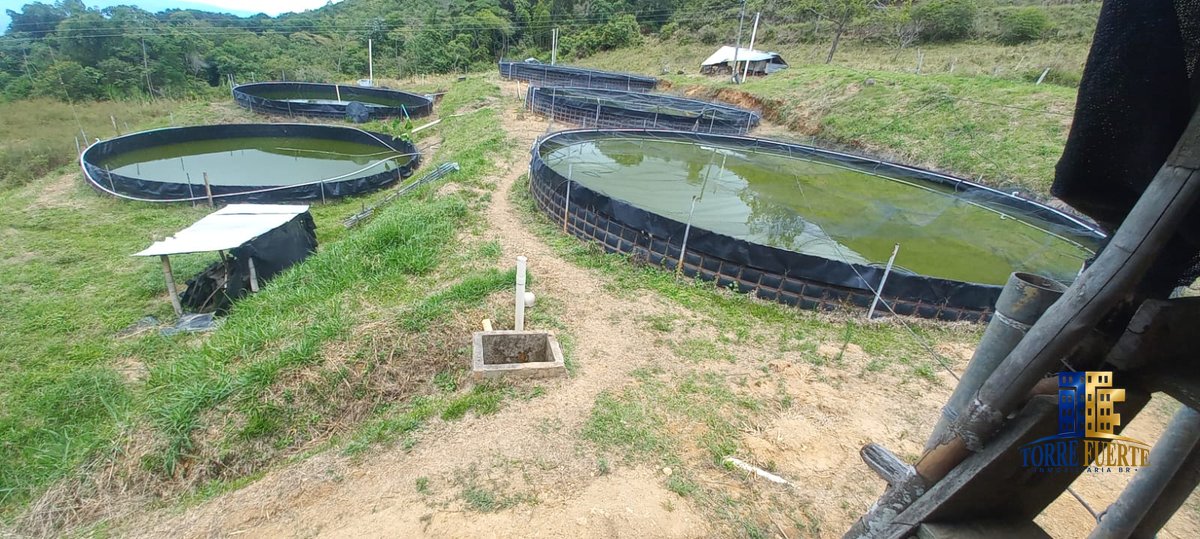 Finca en Venta en Armero, Tolima – Cód. 1083