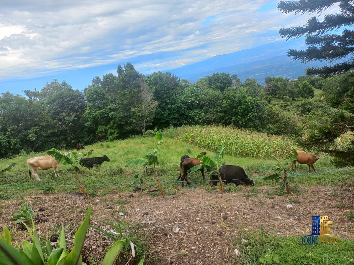 Finca en Venta en Armero, Tolima – Cód. 1083