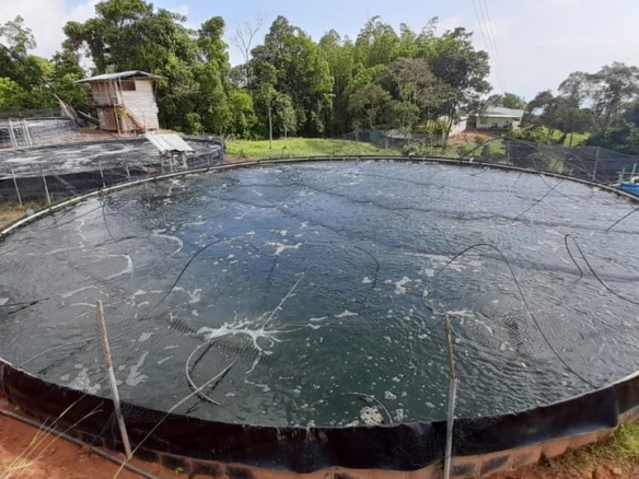 Finca en Venta en Armero, Tolima – Cód. 1083