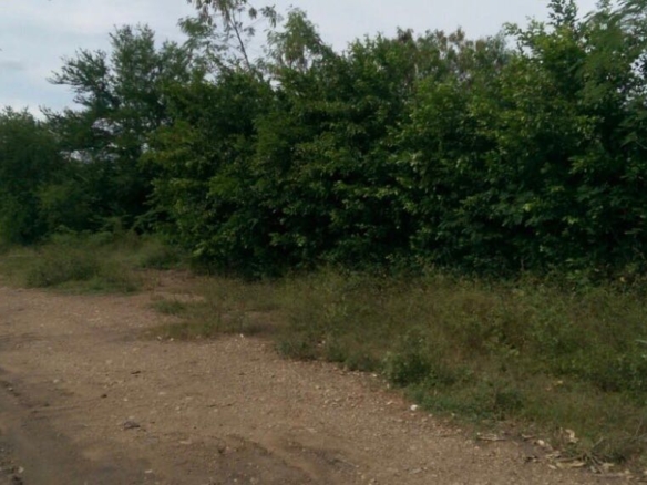 Lote en Venta en Tunja Curubal – Cód. 101
