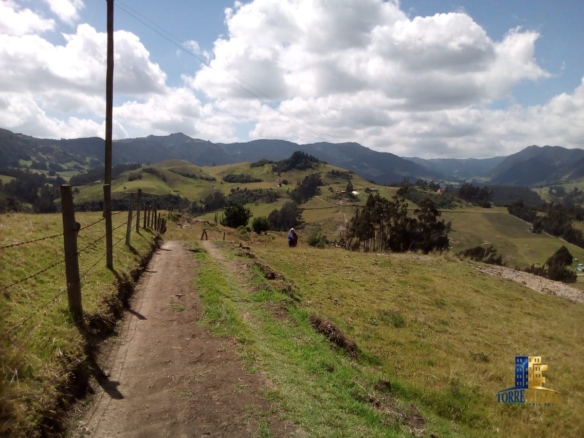 Lote Carmen de Carupa COD – 1115