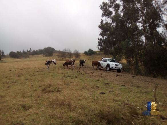 Lote Carmen de Carupa COD – 1116