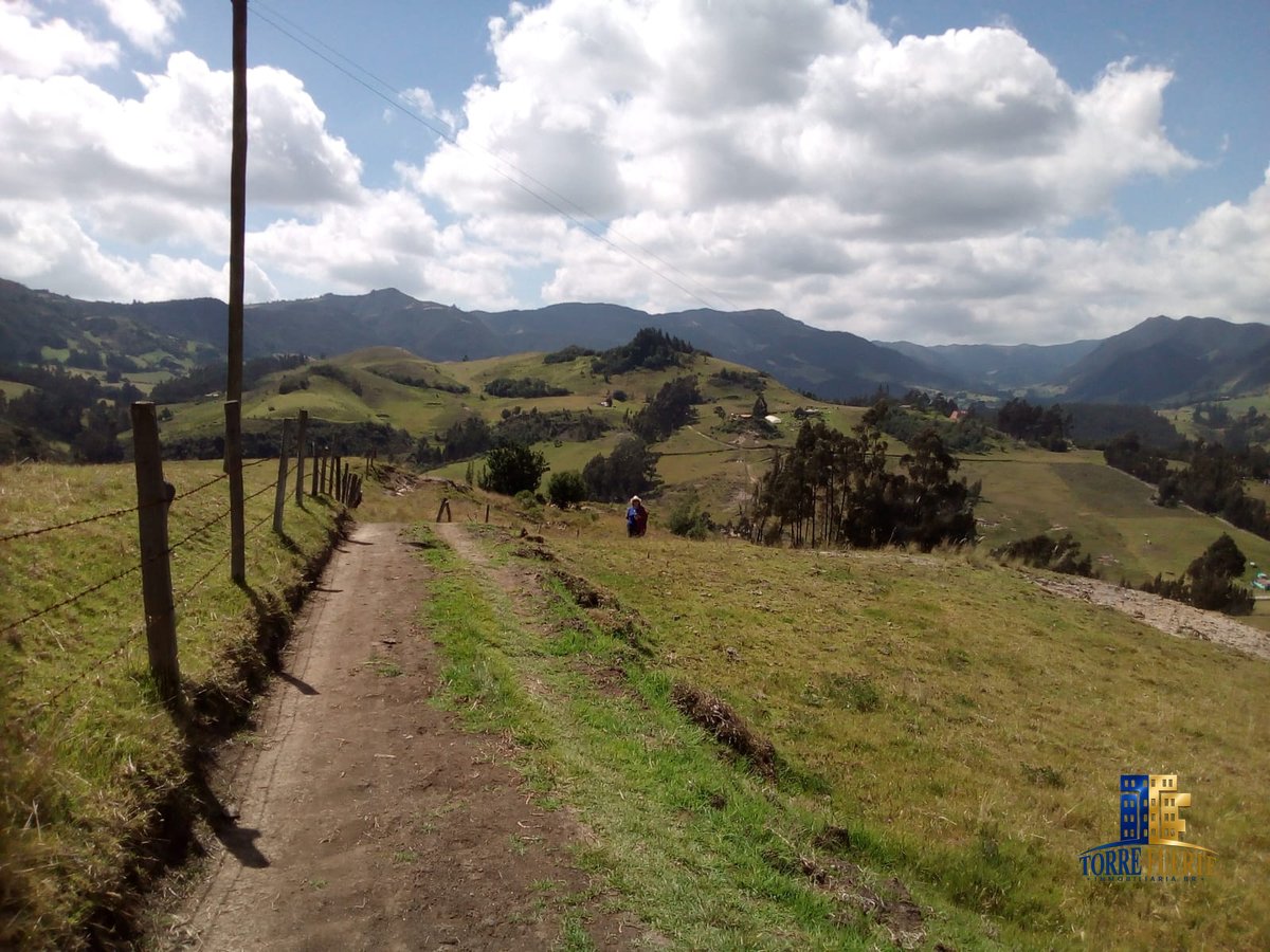 Lote Carmen de Carupa COD – 1116
