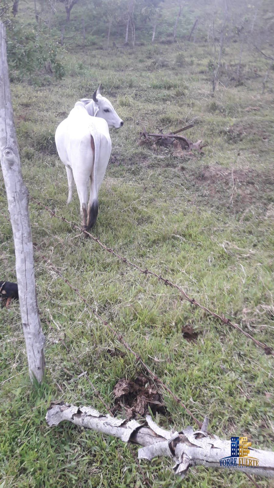 Finca En Venta Viotá COD -1130