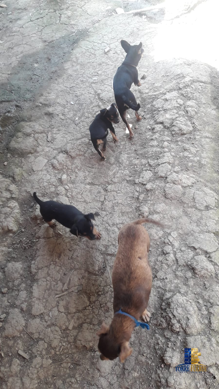 Finca En Venta Viotá COD -1130