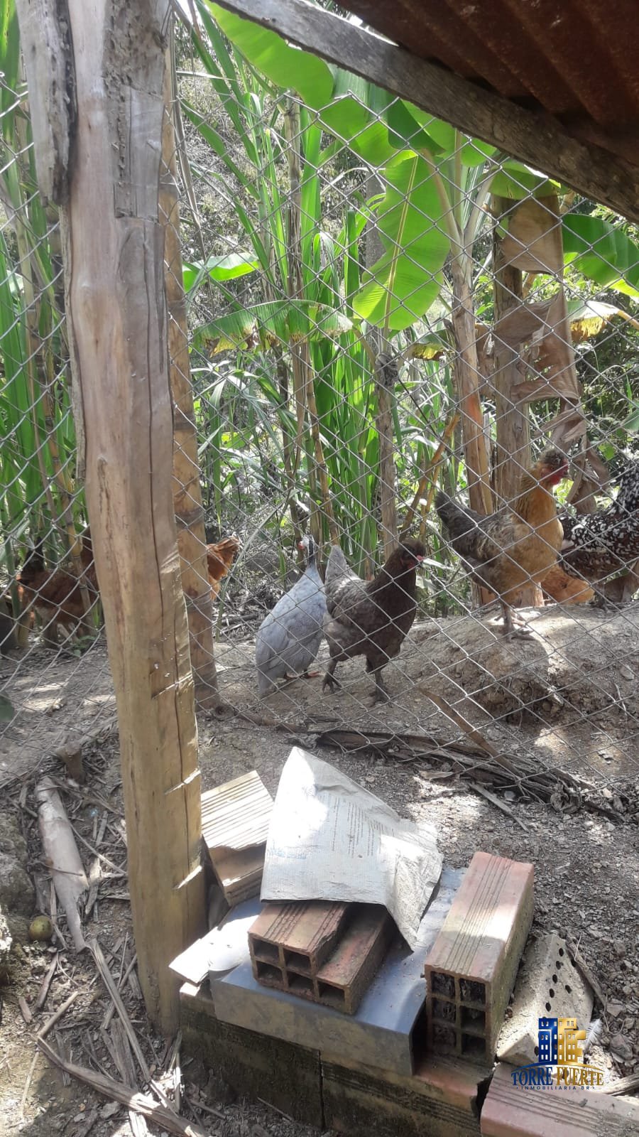 Finca En Venta Viotá COD -1130
