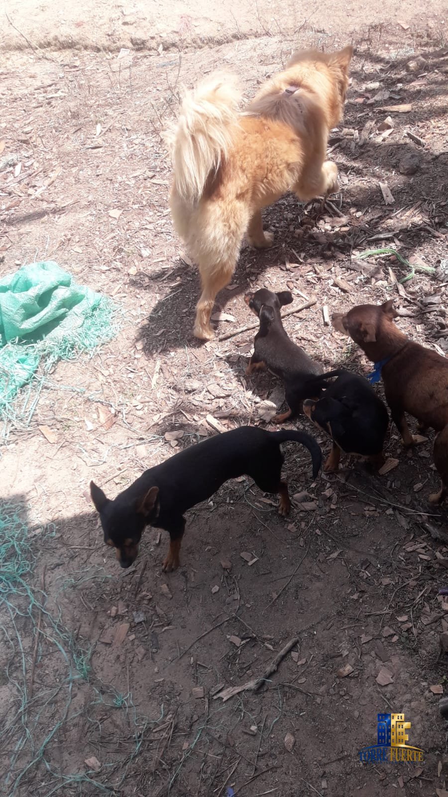 Finca En Venta Viotá COD -1130