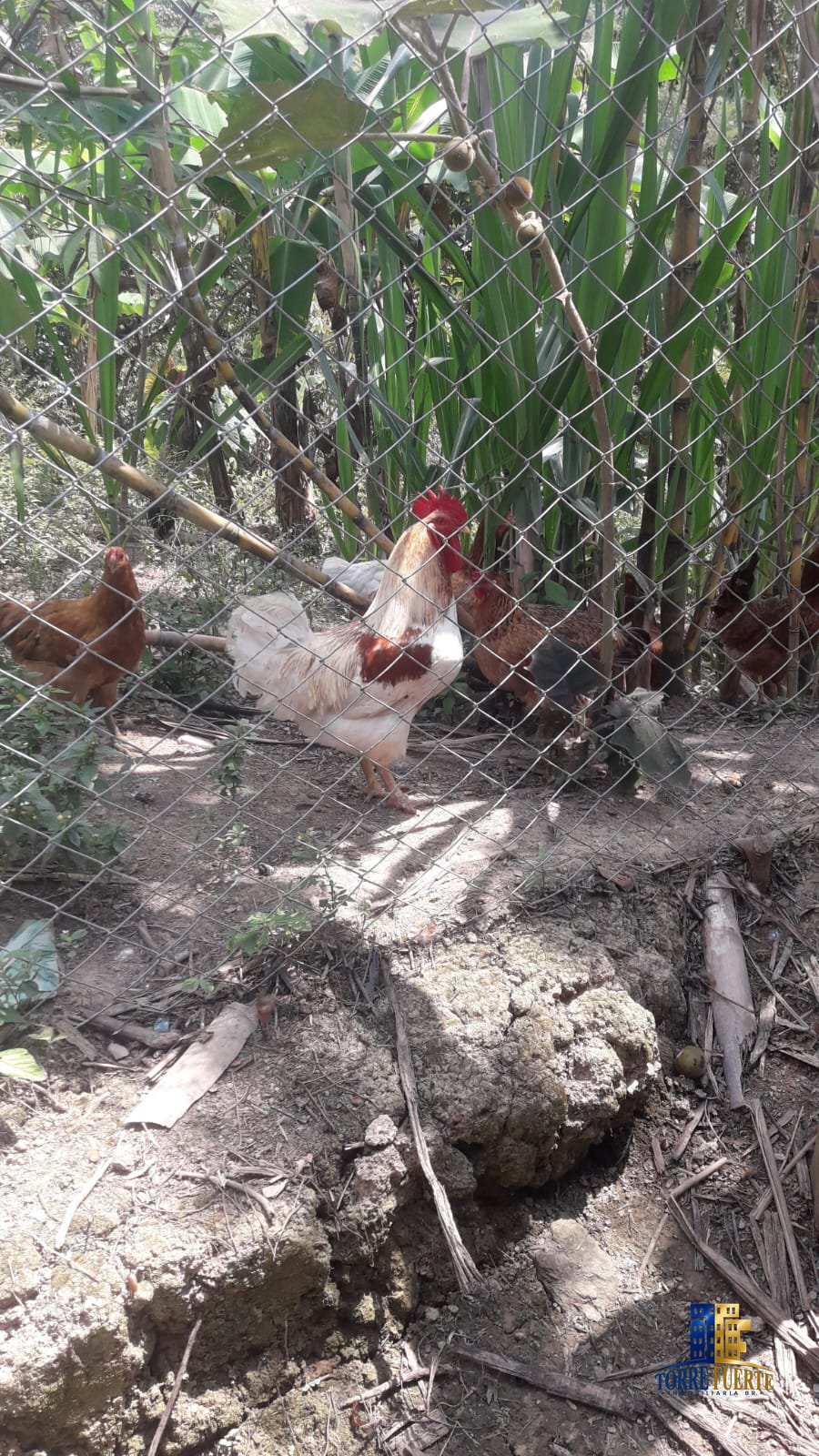 Finca En Venta Viotá COD -1130