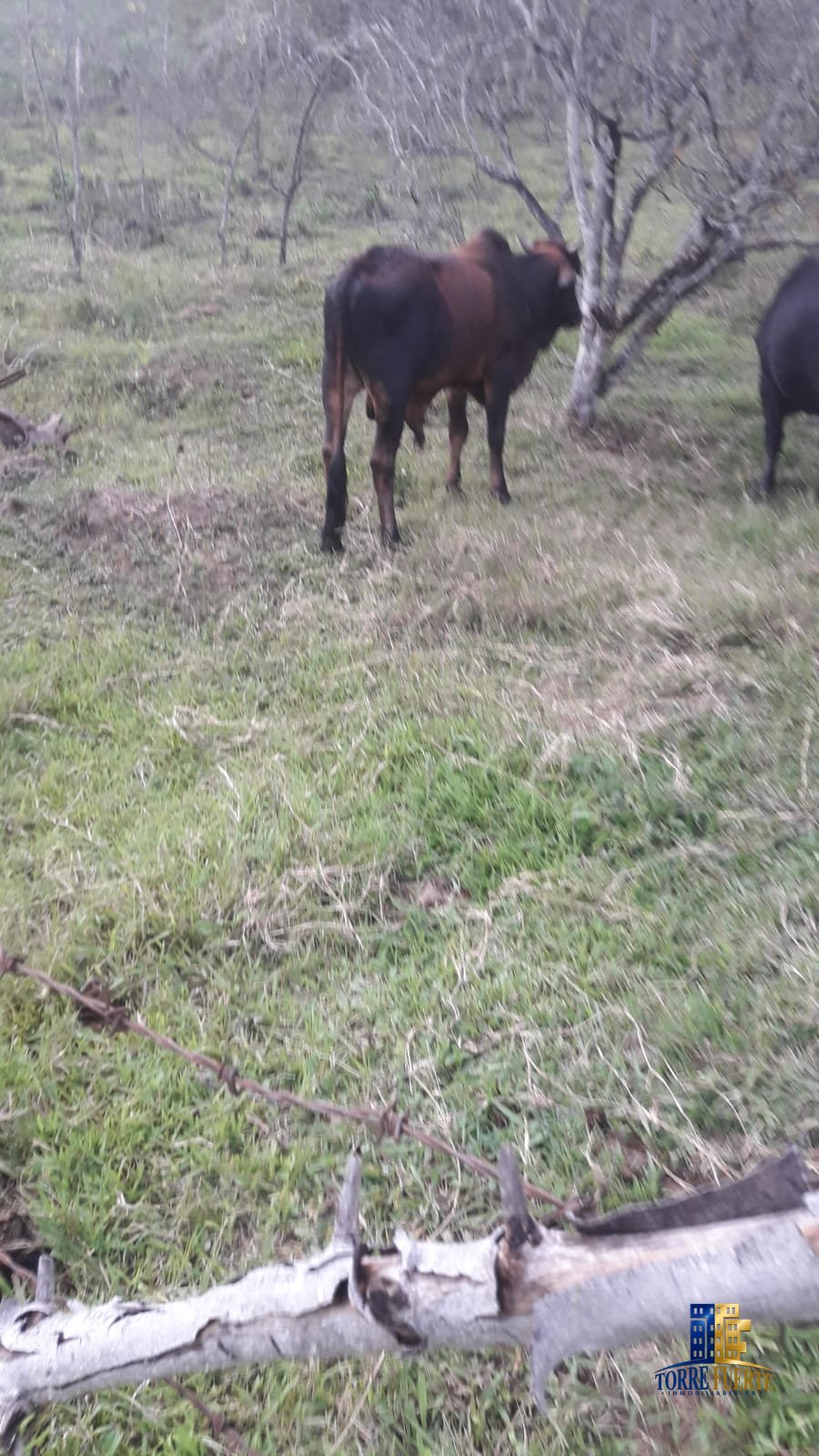 Finca En Venta Viotá COD -1130