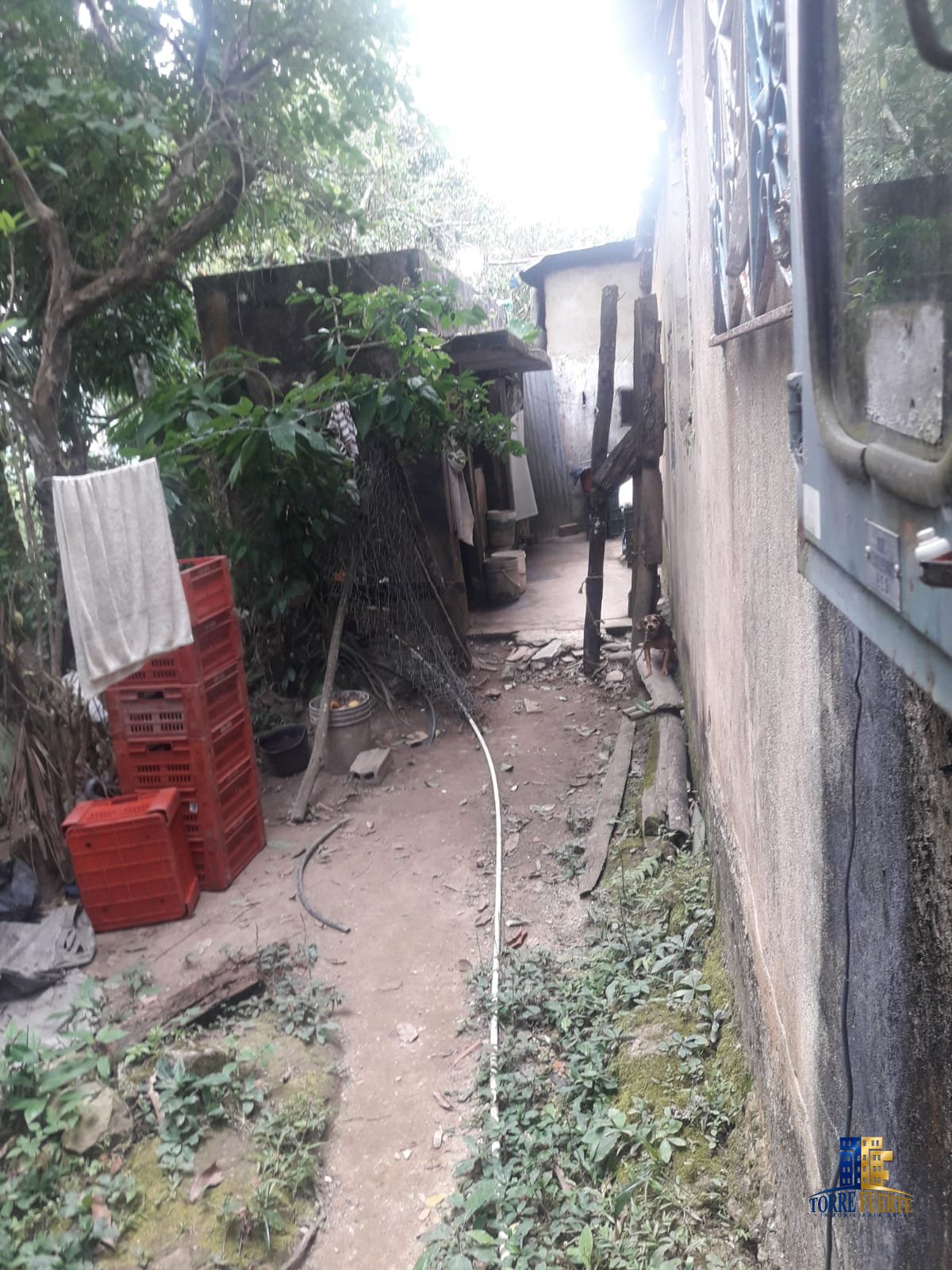 Finca En Venta Viotá COD -1130