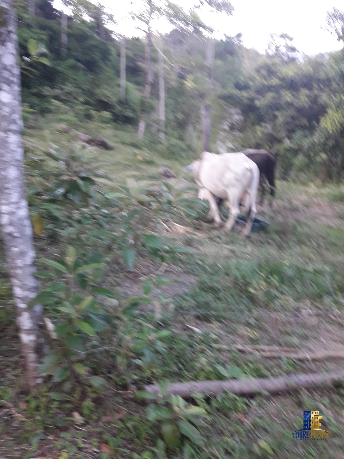 Finca Viota COD – 205