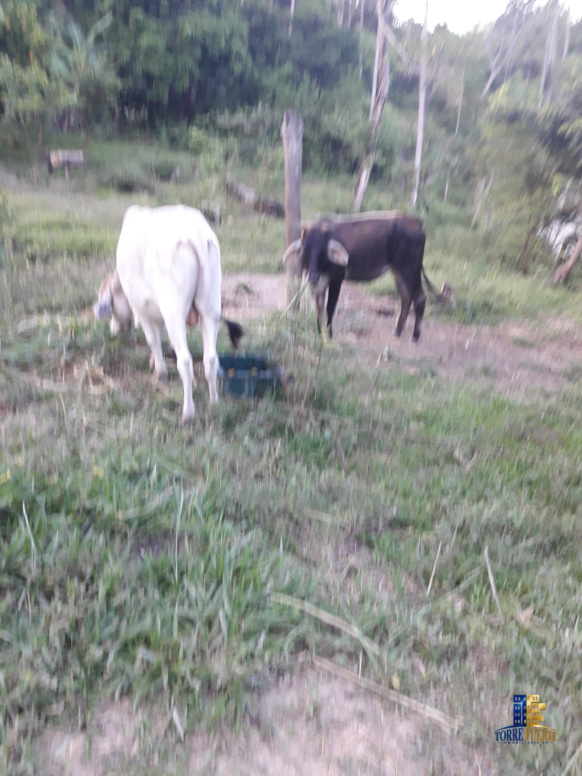 Finca Viota COD – 205