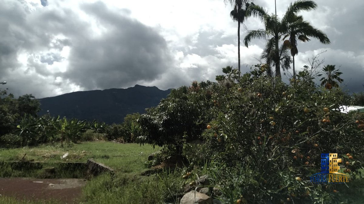 COD-564-14 Finca Chinauta COD – 564