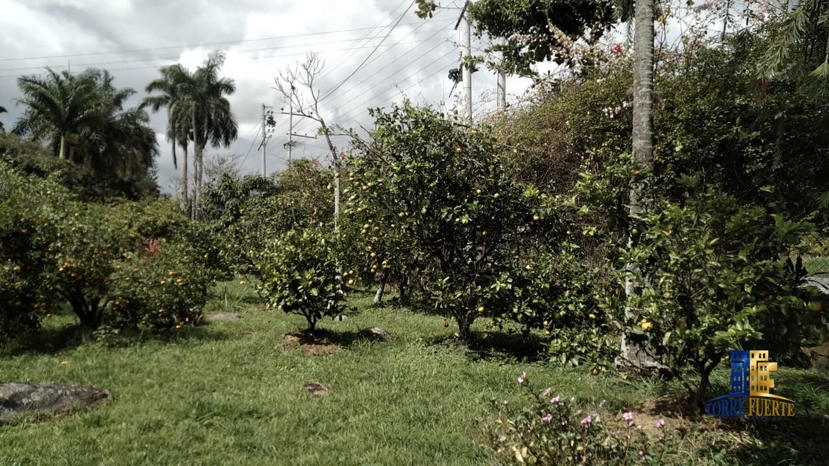 COD-564-15 Finca Chinauta COD – 564