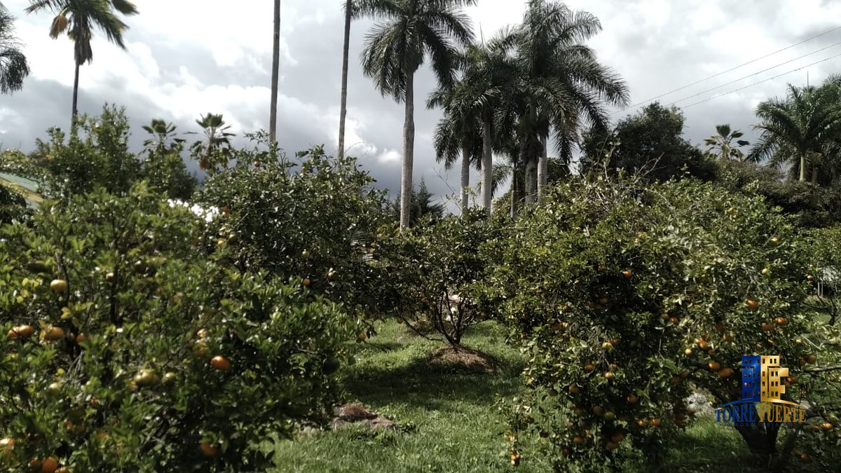 COD-564-17 Finca Chinauta COD – 564