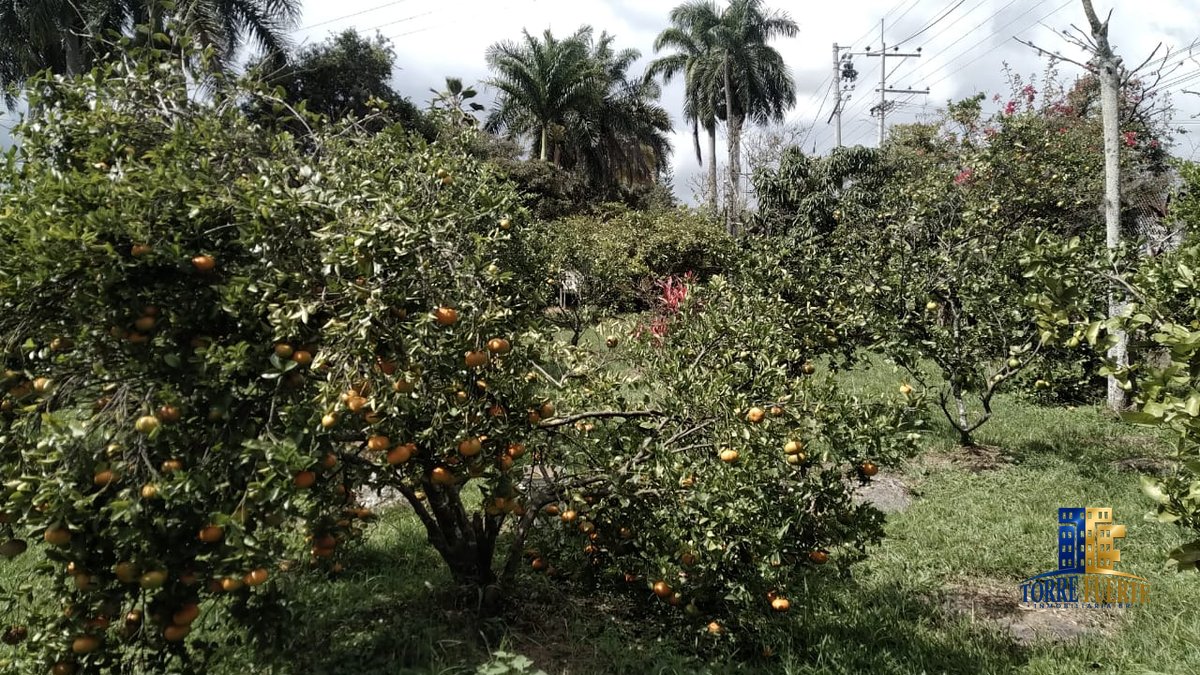 COD-564-18 Finca Chinauta COD – 564