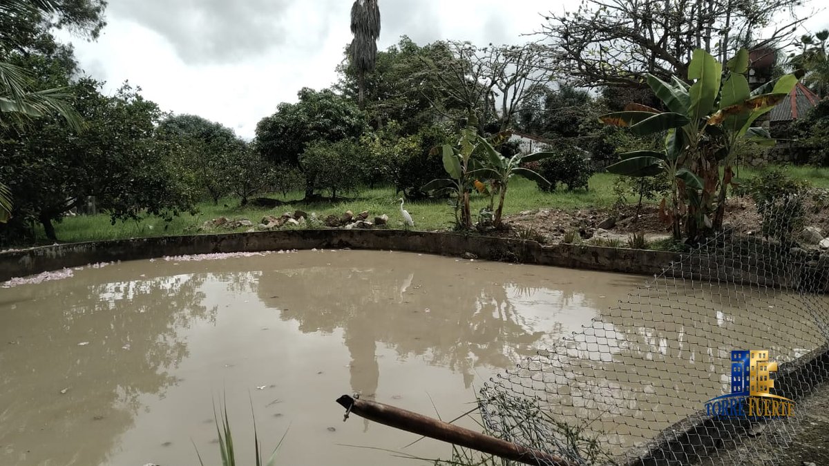 COD-564-19 Finca Chinauta COD – 564