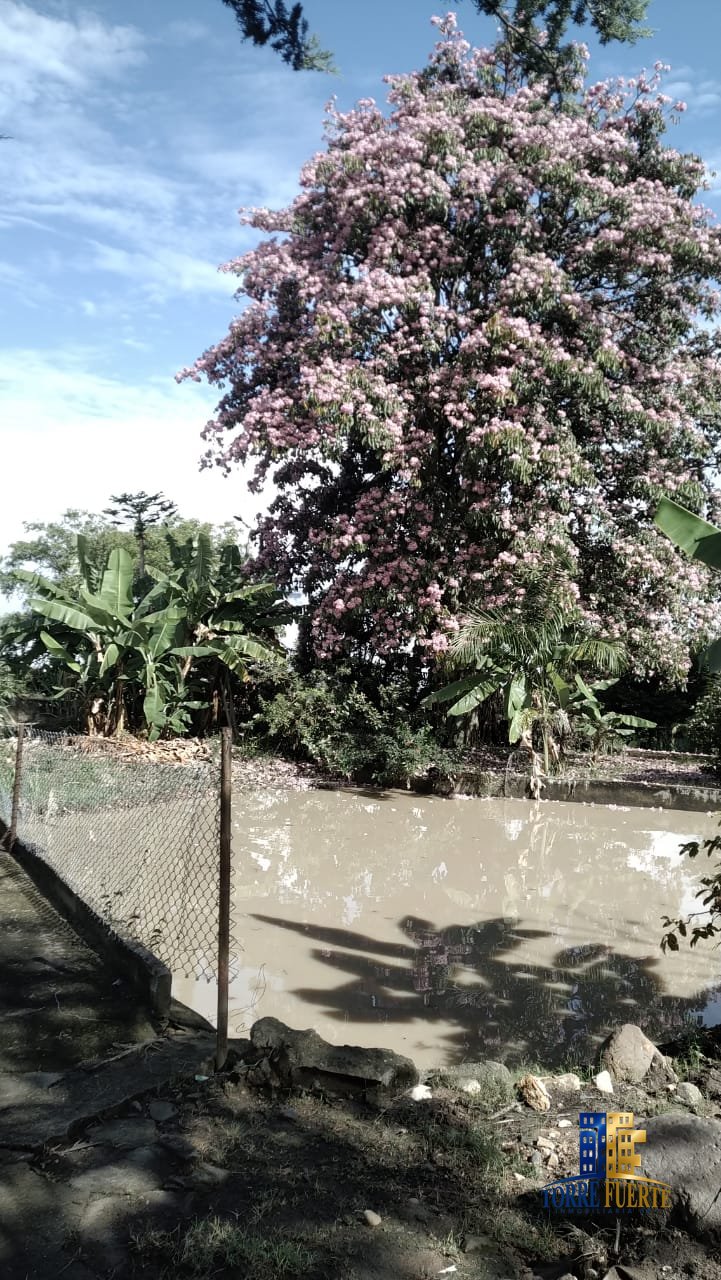 COD-564-21 Finca Chinauta COD – 564