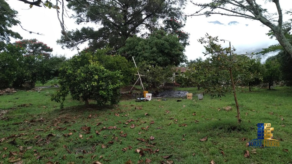 COD-564-24 Finca Chinauta COD – 564