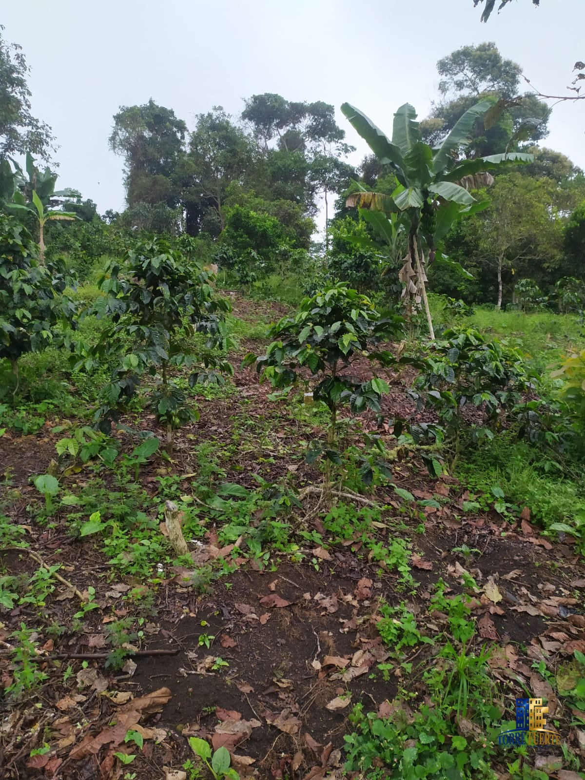 Finca Con Casa En Venta Funza COD – 660
