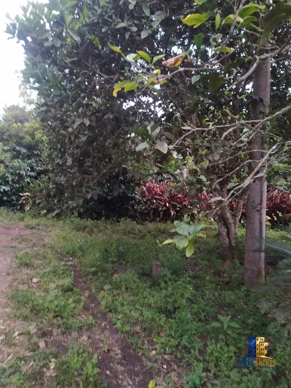 Finca Con Casa En Venta Funza COD – 660