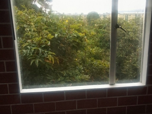 Apartamento Bochica Etapa 1 COD -741