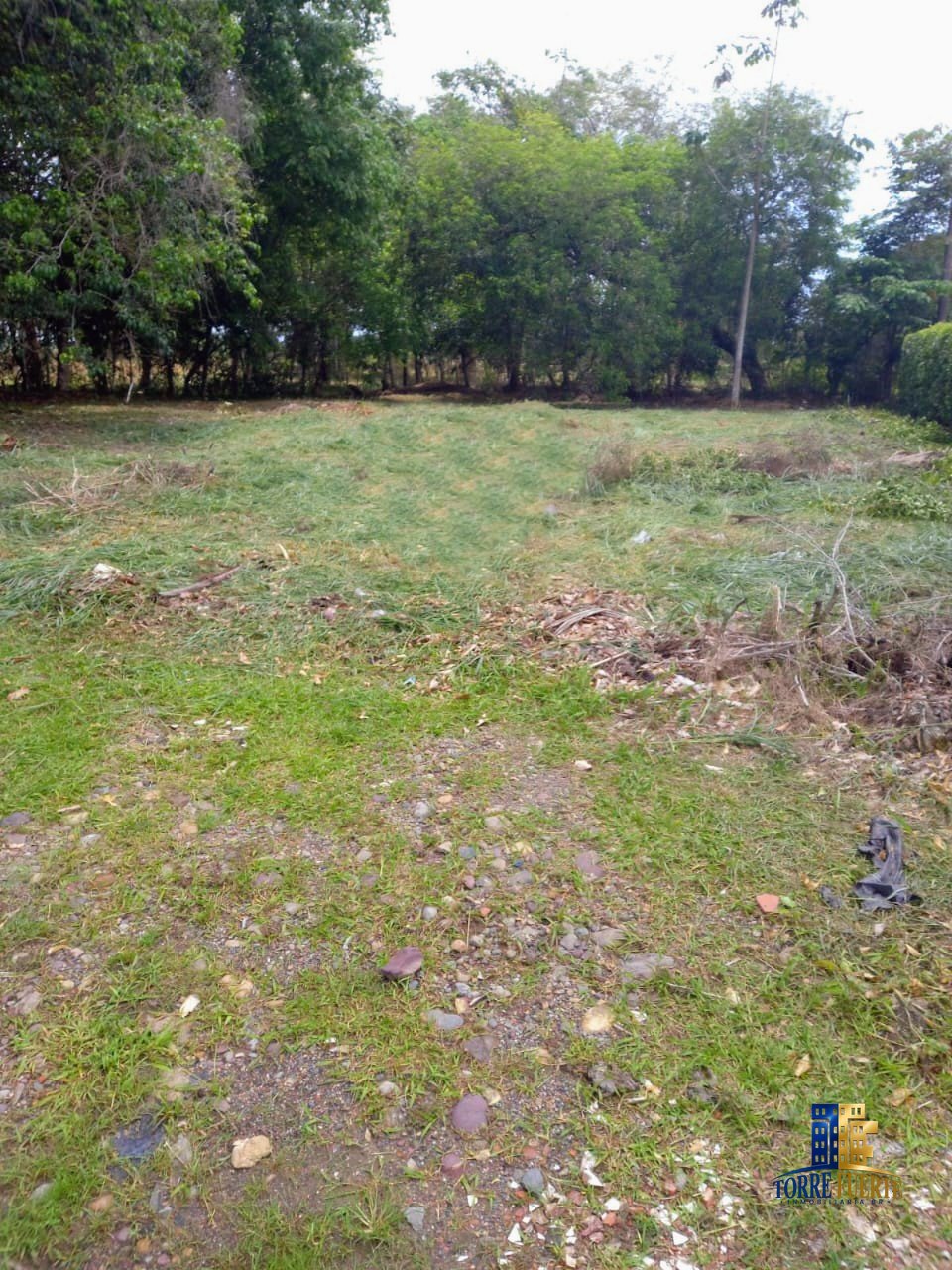 Lote Villavicencio COD – 826