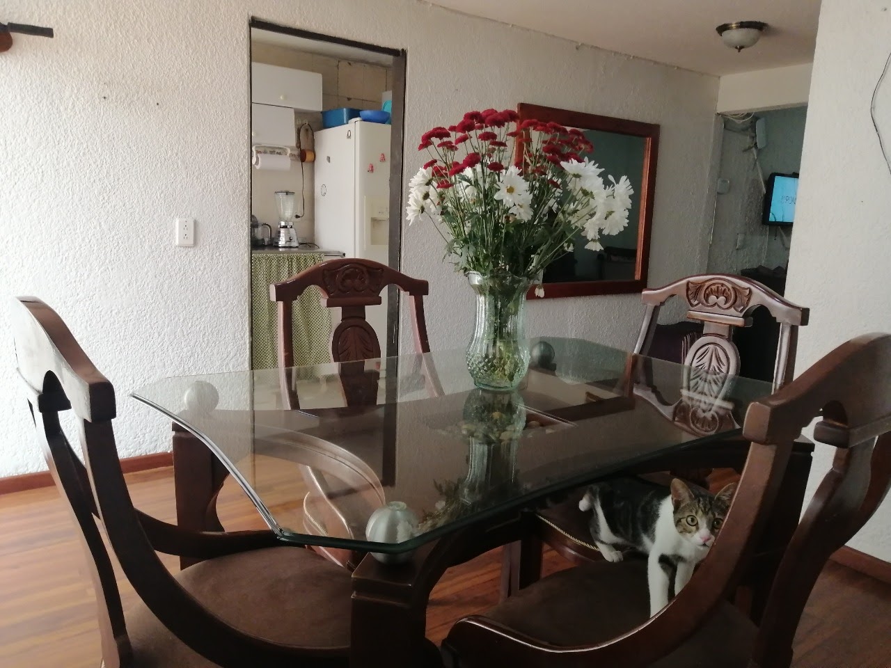 Casa Rentable En Venta Villa Luz COD -1140